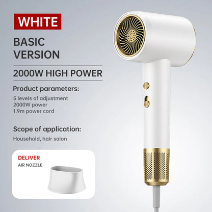 SpeedBlast Ultra Fast Hair Dryer